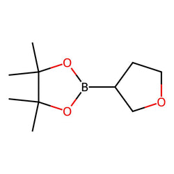 4,4,5,5-Tetramethyl-2-(tetrahydrofuran-3-yl)-1,3,2-dioxaborolane|CS-W005405|331958-90-8