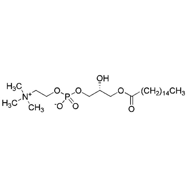 1-Palmitoyl-sn-glycero-3-phosphocholine|10580|17364-16-8