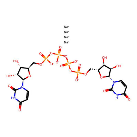 Diquafosol Tetrasodium Salt|C4X-21491|211427-08-6