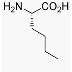 L-Norleucine|00353|327-57-1