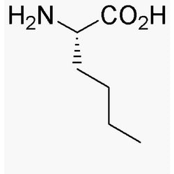 L-Norleucine|00353|327-57-1
