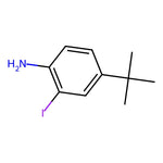 4-tert-Butyl-2-iodo-aniline|CS-0191147|128318-63-8