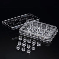 SPLInsert? Standing, 12 Inserts/24 well plate, PET, 3μm, Growth Area 0.60?, 0.2~0.6ml, Transparent, Sterile|37424