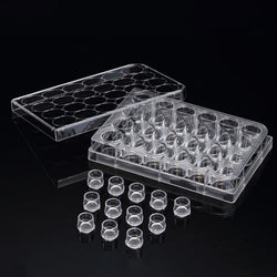 SPLInsert? Standing, 12 Inserts/24 well plate, PET, 3μm, Growth Area 0.60?, 0.2~0.6ml, Transparent, Sterile|37424