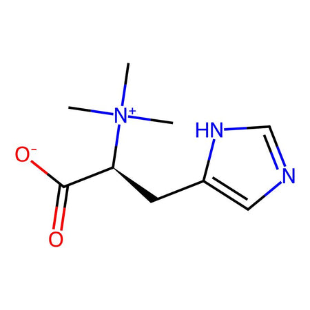 L-Hercynine|CPTD788574|534-30-5