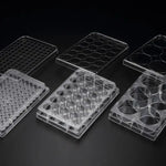 3D Cell Floater Plate, PS, 24well, 85.4x127.6x20.2mm|39724