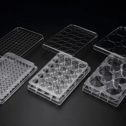 3D Cell Floater Plate, PS, 24well, 85.4x127.6x20.2mm|39724