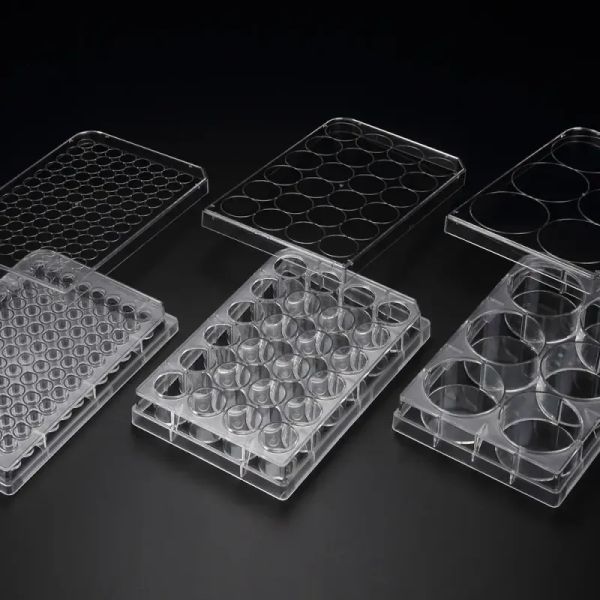 3D Cell Floater Plate, PS, 24well, 85.4x127.6x20.2mm|39724