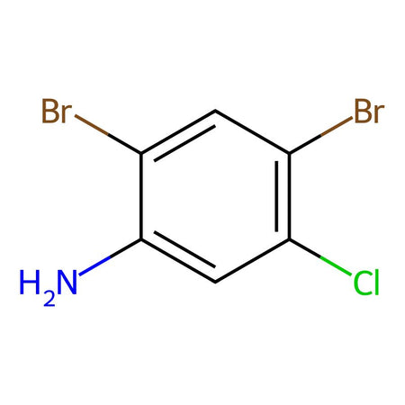 2,4-Dibromo-5-chloroaniline|C1598389|89379-50-0