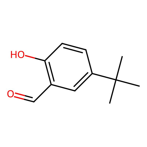 5-(tert-Butyl)-2-hydroxybenzaldehyde|CS-W017321|2725-53-3