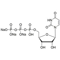 Uridine 5'-triphosphoric acid trisodium, low endotoxins = 0.125 EU/mg|30778|19817-92-6