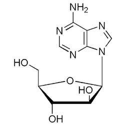 Adenine-9-b-D-arabinofuranoside|01750|5536-17-4