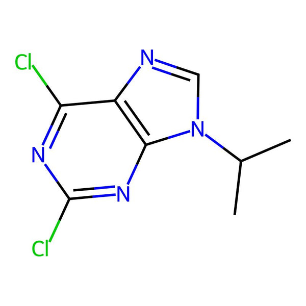 2,6-Dichloro-9-isopropyl-9H-purine|CS-D1268|203436-45-7
