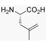 4,5-Dehydro-L-leucine|05807|87392-13-0