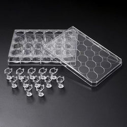 SPLInsert? Hanging, 12 Inserts/24 well plate, PC, 3μm, Growth Area 0.33?, 0.2~0.35ml, Translucent, Sterile|35124