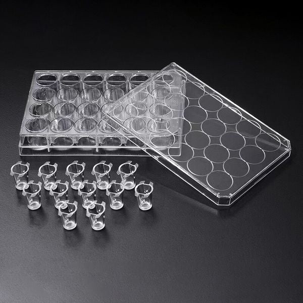 SPLInsert? Hanging, 12 Inserts/24 well plate, PC, 3μm, Growth Area 0.33?, 0.2~0.35ml, Translucent, Sterile|35124