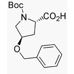 Boc-O-benzyl-L-trans-4-hydroxyproline|00036|54631-81-1