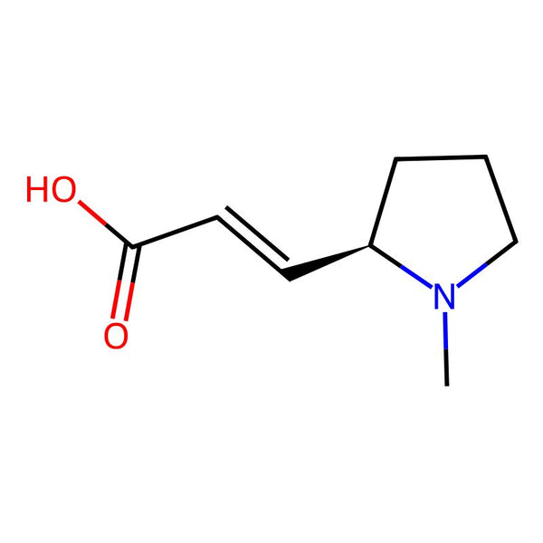 (R,E)-3-(1-Methylpyrrolidin-2-yl)acrylic acid|CS-0067866|2143460-75-5