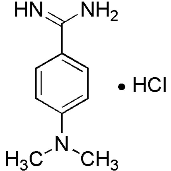 4-Dimethylamino-benzamidine hydrochloride|20283|55978-60-4