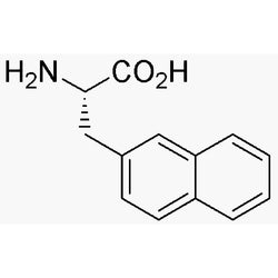 3-(2-Naphthyl)-L-alanine|02852|58438-03-2