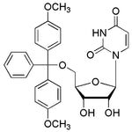 5'-O-(4,4'-dimethoxytrityl) uridine|00610|81246-79-9