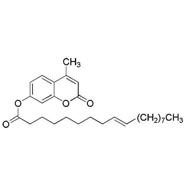 4-Methylumbelliferyl elaidate|20906|69003-01-6