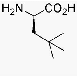 b-tert-Butyl-D-alanine|06235|88319-43-1