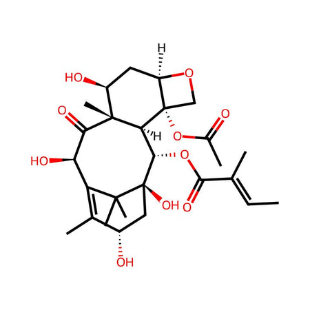 Paclitaxel Impurity 31|C4X-184231|171926-87-7