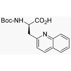 Boc-3-(2'-quinolyl)-D-alanine|04934|170157-64-9