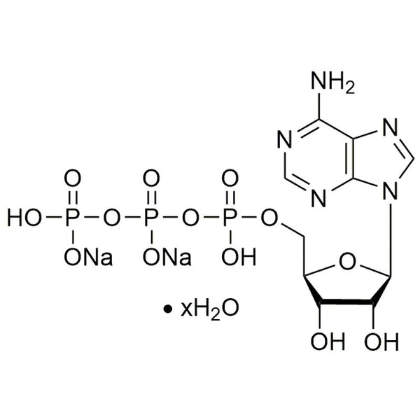 Adenosine 5?-triphosphate disodium salt hydrate, microbial|42128|34369-07-8