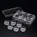 SPLInsert? Standing, 6 Inserts/6 well plate, PET, 3μm, Growth Area 4.06?, 2~6ml, Transparent, Sterile|37406
