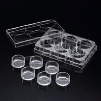 SPLInsert? Standing, 6 Inserts/6 well plate, PET, 3μm, Growth Area 4.06?, 2~6ml, Transparent, Sterile|37406