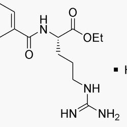 Na-Benzoyl-L-arginine ethyl ester hydrochloride|03031|2645-08-1