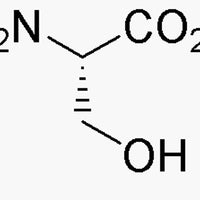 L-Serine|00279|56-45-1