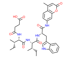 N-Succinyl-Ile-Ile-Trp-AMC|CPTD786379|133525-12-9