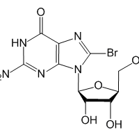 8-Bromoguanosine, 98%|101381|4016-63-1