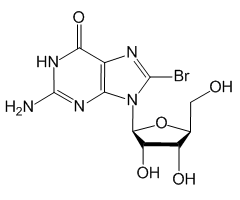 8-Bromoguanosine, 98%|101381|4016-63-1