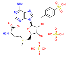 S-Adenosyl-L-methionine disulfate tosylate, 98%, mixture of isomers |958063|97540-22-2