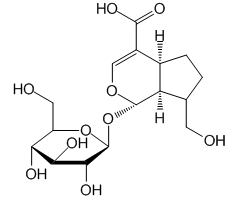 Geniposidic acid, 98%, from Gardenia jasminoides Ellis|973504|27741-01-1