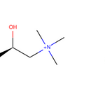 (S)-3-Chloro-2-hydroxy-N,N,N-trimethylpropan-1-aminium chloride|CS-0102620|101396-91-2
