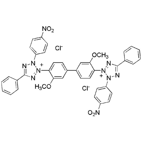 Nitrotetrazolium blue chloride|00225|298-83-9