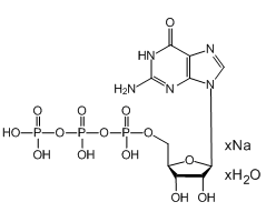 Guanosine-5'-triphosphate Trisodium Salt|C4X-214917|36051-31-7