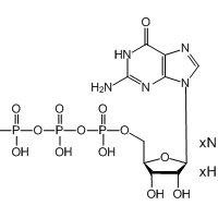 Guanosine 5'-triphosphate (trisodium salt)|CS-3908|36051-31-7