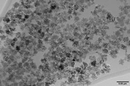 Nickel trioxide, 99%|CS-0181882|1314-06-3