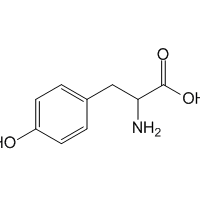 Tyrosine, 99%|116162|556-03-6