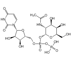 Uridine-5'-diphospho-N-acetylgalactosamine disodium salt, 95%|117112|108320-87-2