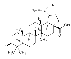 Betulinic acid, 98%|119165|472-15-1
