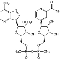 β-Nicotinamide adenine dinucleotide phosphate disodium salt, 97%|916828|24292-60-2