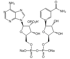 β-Nicotinamide adenine dinucleotide phosphate disodium salt, 97%|916828|24292-60-2