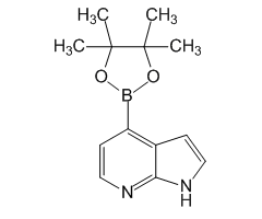 7-Azaindole-4-boronic acid pinacol ester, 98%